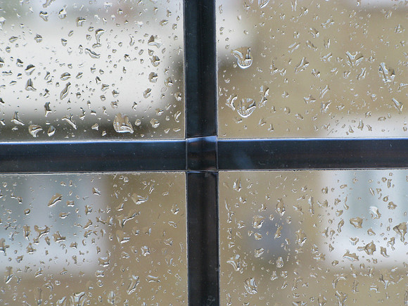 Easter Rain